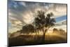 USA, Colorado, Sawhill Ponds. Sunrise on field.-Jaynes Gallery-Mounted Photographic Print