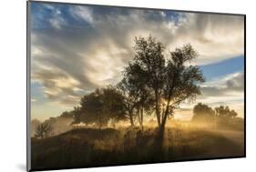 USA, Colorado, Sawhill Ponds. Sunrise on field.-Jaynes Gallery-Mounted Photographic Print