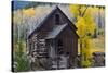 USA, Colorado, scenic historic Crystal Mill-Bernard Friel-Stretched Canvas