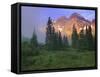 USA, Colorado, Snowmass Wilderness. The Maroon Bells in the morning.-Dennis Flaherty-Framed Stretched Canvas