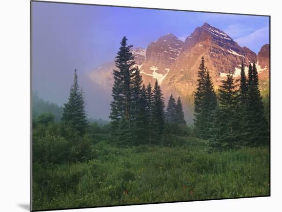 USA, Colorado, Snowmass Wilderness. The Maroon Bells in the morning.-Dennis Flaherty-Mounted Photographic Print