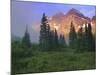 USA, Colorado, Snowmass Wilderness. The Maroon Bells in the morning.-Dennis Flaherty-Mounted Photographic Print