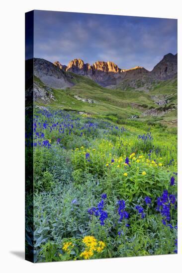 USA, Colorado. Sunrise in American Basin in the San Juan Mountains.-Dennis Flaherty-Stretched Canvas