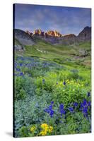 USA, Colorado. Sunrise in American Basin in the San Juan Mountains.-Dennis Flaherty-Stretched Canvas