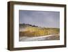 USA, Colorado, Uncompahgre National Forest. Aspen forest in late autumn.-Jaynes Gallery-Framed Photographic Print