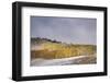 USA, Colorado, Uncompahgre National Forest. Aspen forest in late autumn.-Jaynes Gallery-Framed Photographic Print