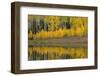 USA, Colorado, Uncompahgre National Forest. Autumn-colored aspens reflect in lake.-Jaynes Gallery-Framed Photographic Print