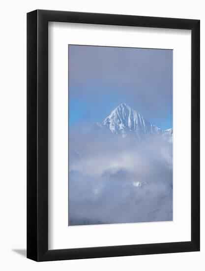 USA, Colorado, Uncompahgre National Forest. Autumn sunrise on foggy Wilson Peak.-Jaynes Gallery-Framed Photographic Print