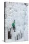 USA, Colorado, Uncompahgre National Forest. Climber ascends ice-encrusted cliff face.-Jaynes Gallery-Stretched Canvas