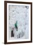 USA, Colorado, Uncompahgre National Forest. Climber ascends ice-encrusted cliff face.-Jaynes Gallery-Framed Photographic Print