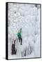 USA, Colorado, Uncompahgre National Forest. Climber ascends ice-encrusted cliff face.-Jaynes Gallery-Framed Stretched Canvas