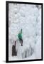 USA, Colorado, Uncompahgre National Forest. Climber ascends ice-encrusted cliff face.-Jaynes Gallery-Framed Photographic Print