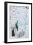 USA, Colorado, Uncompahgre National Forest. Climber ascends ice-encrusted cliff face.-Jaynes Gallery-Framed Photographic Print