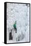 USA, Colorado, Uncompahgre National Forest. Climber ascends ice-encrusted cliff face.-Jaynes Gallery-Framed Stretched Canvas