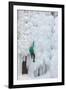 USA, Colorado, Uncompahgre National Forest. Climber ascends ice-encrusted cliff face.-Jaynes Gallery-Framed Premium Photographic Print
