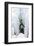 USA, Colorado, Uncompahgre National Forest. Climber ascends icy cliff face.-Jaynes Gallery-Framed Photographic Print