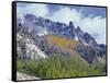 USA, Colorado, Uncompahgre National Forest, Fall Snow on Ophir Needles Above Aspen and Conifers-John Barger-Framed Stretched Canvas