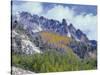 USA, Colorado, Uncompahgre National Forest, Fall Snow on Ophir Needles Above Aspen and Conifers-John Barger-Stretched Canvas