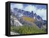 USA, Colorado, Uncompahgre National Forest, Fall Snow on Ophir Needles Above Aspen and Conifers-John Barger-Framed Stretched Canvas