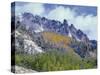 USA, Colorado, Uncompahgre National Forest, Fall Snow on Ophir Needles Above Aspen and Conifers-John Barger-Stretched Canvas