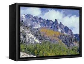 USA, Colorado, Uncompahgre National Forest, Fall Snow on Ophir Needles Above Aspen and Conifers-John Barger-Framed Stretched Canvas