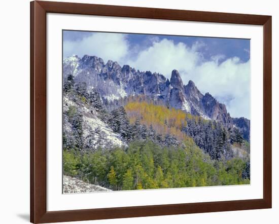 USA, Colorado, Uncompahgre National Forest, Fall Snow on Ophir Needles Above Aspen and Conifers-John Barger-Framed Photographic Print