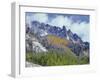 USA, Colorado, Uncompahgre National Forest, Fall Snow on Ophir Needles Above Aspen and Conifers-John Barger-Framed Photographic Print