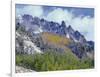 USA, Colorado, Uncompahgre National Forest, Fall Snow on Ophir Needles Above Aspen and Conifers-John Barger-Framed Photographic Print