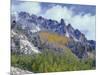 USA, Colorado, Uncompahgre National Forest, Fall Snow on Ophir Needles Above Aspen and Conifers-John Barger-Mounted Photographic Print