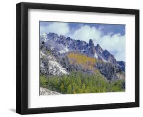 USA, Colorado, Uncompahgre National Forest, Fall Snow on Ophir Needles Above Aspen and Conifers-John Barger-Framed Photographic Print