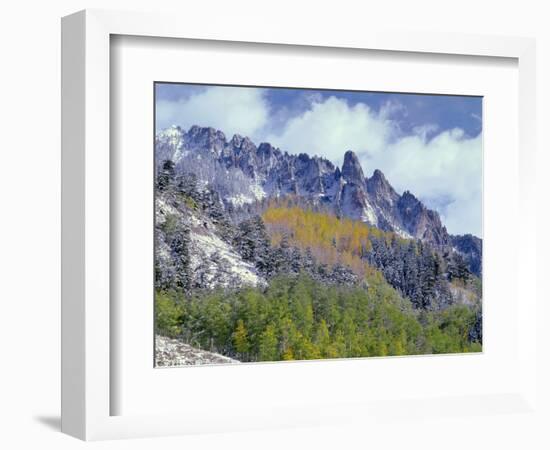 USA, Colorado, Uncompahgre National Forest, Fall Snow on Ophir Needles Above Aspen and Conifers-John Barger-Framed Photographic Print