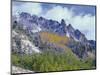 USA, Colorado, Uncompahgre National Forest, Fall Snow on Ophir Needles Above Aspen and Conifers-John Barger-Mounted Photographic Print
