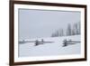 USA, Colorado, Uncompahgre National Forest. Fence buried in deep snow.-Jaynes Gallery-Framed Photographic Print