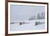 USA, Colorado, Uncompahgre National Forest. Fence buried in deep snow.-Jaynes Gallery-Framed Photographic Print