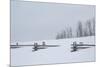 USA, Colorado, Uncompahgre National Forest. Fence buried in deep snow.-Jaynes Gallery-Mounted Photographic Print