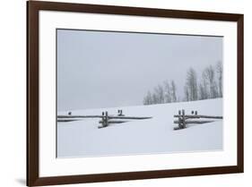 USA, Colorado, Uncompahgre National Forest. Fence buried in deep snow.-Jaynes Gallery-Framed Premium Photographic Print