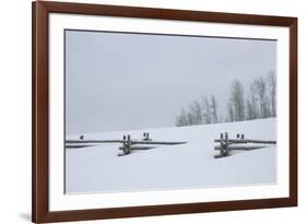 USA, Colorado, Uncompahgre National Forest. Fence buried in deep snow.-Jaynes Gallery-Framed Premium Photographic Print