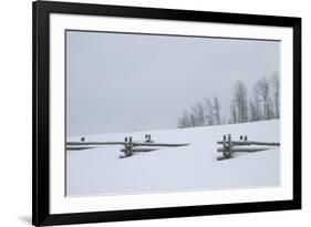 USA, Colorado, Uncompahgre National Forest. Fence buried in deep snow.-Jaynes Gallery-Framed Premium Photographic Print