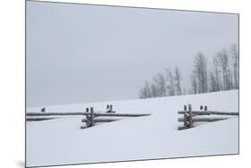 USA, Colorado, Uncompahgre National Forest. Fence buried in deep snow.-Jaynes Gallery-Mounted Premium Photographic Print