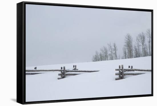 USA, Colorado, Uncompahgre National Forest. Fence buried in deep snow.-Jaynes Gallery-Framed Stretched Canvas