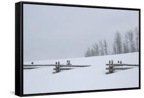 USA, Colorado, Uncompahgre National Forest. Fence buried in deep snow.-Jaynes Gallery-Framed Stretched Canvas