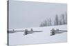 USA, Colorado, Uncompahgre National Forest. Fence buried in deep snow.-Jaynes Gallery-Stretched Canvas