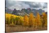 USA, Colorado, Uncompahgre National Forest. Mountain and forest in autumn.-Jaynes Gallery-Stretched Canvas