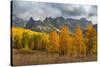 USA, Colorado, Uncompahgre National Forest. Mountain and forest in autumn.-Jaynes Gallery-Stretched Canvas