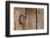 USA, Colorado, Westcliffe. Old wooden barn wall with bent horseshoe handle.-Cindy Miller Hopkins-Framed Photographic Print