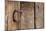 USA, Colorado, Westcliffe. Old wooden barn wall with bent horseshoe handle.-Cindy Miller Hopkins-Mounted Photographic Print