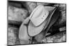 USA, Colorado, Westcliffe. Tack room, cowboy hat detail.-Cindy Miller Hopkins-Mounted Photographic Print