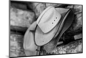 USA, Colorado, Westcliffe. Tack room, cowboy hat detail.-Cindy Miller Hopkins-Mounted Photographic Print