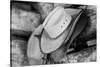 USA, Colorado, Westcliffe. Tack room, cowboy hat detail.-Cindy Miller Hopkins-Stretched Canvas