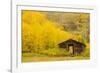 USA, Colorado, White River National Forest. Ashcroft Ghost Town cabin.-Jaynes Gallery-Framed Photographic Print